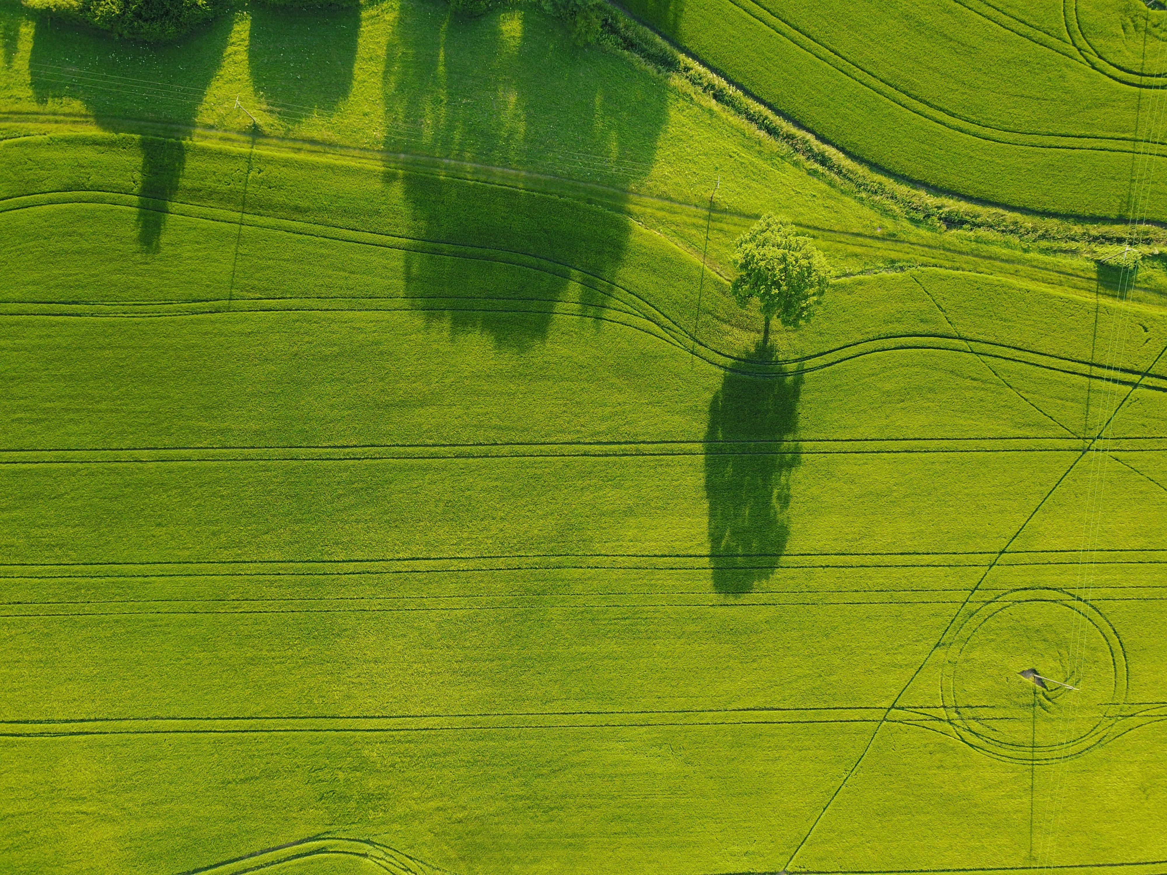 Landwirtschaft Feld Wiese