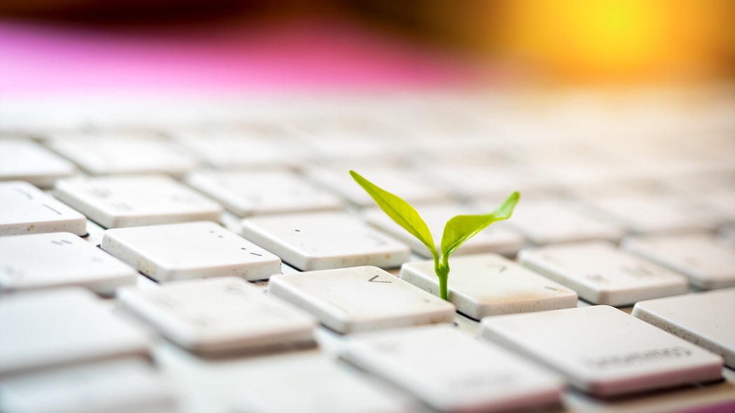 Tastatur Pflanze Nachhaltigkeit Safer Internet Day 2020