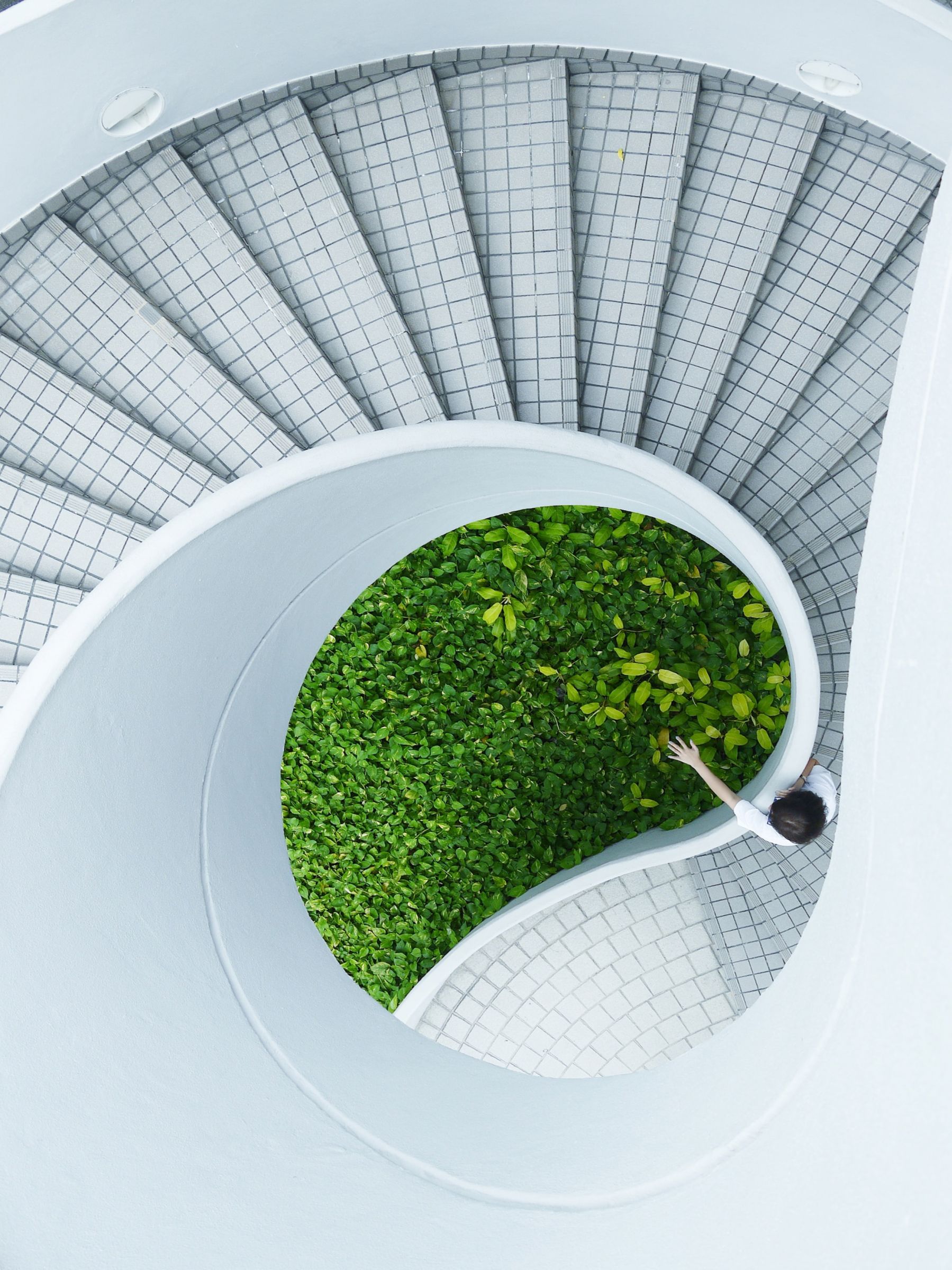 Treppenhaus mit grünem Mini-Hof
