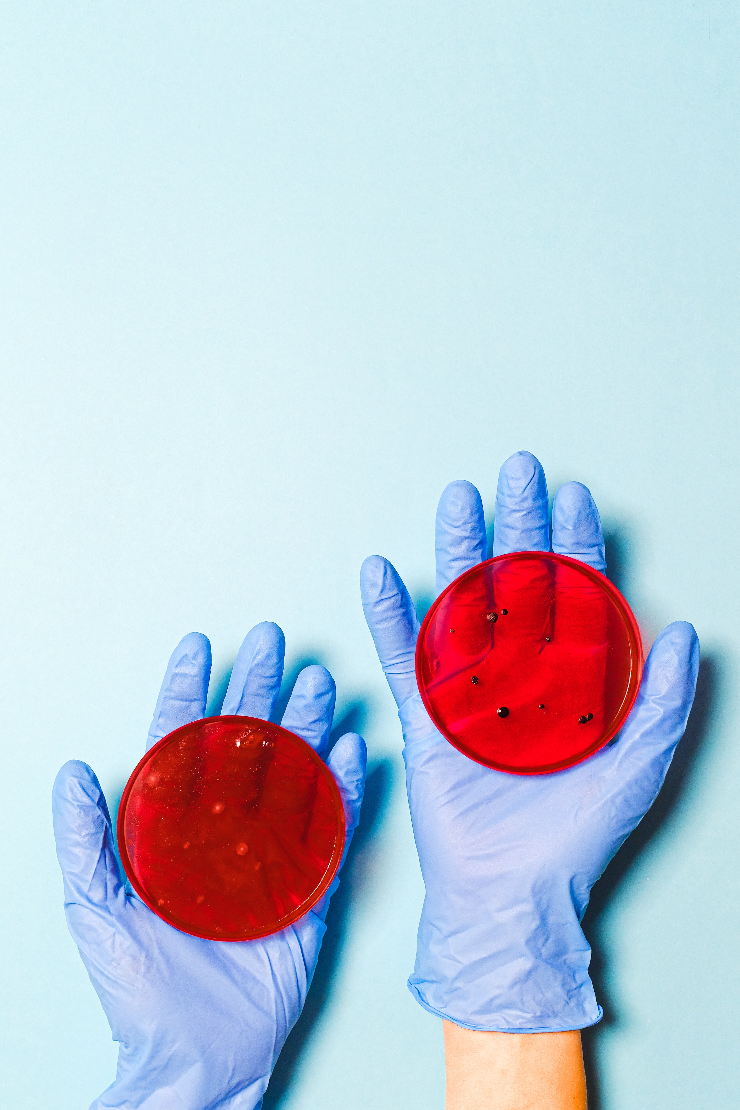 Wissenschaftler hält Petrischalen