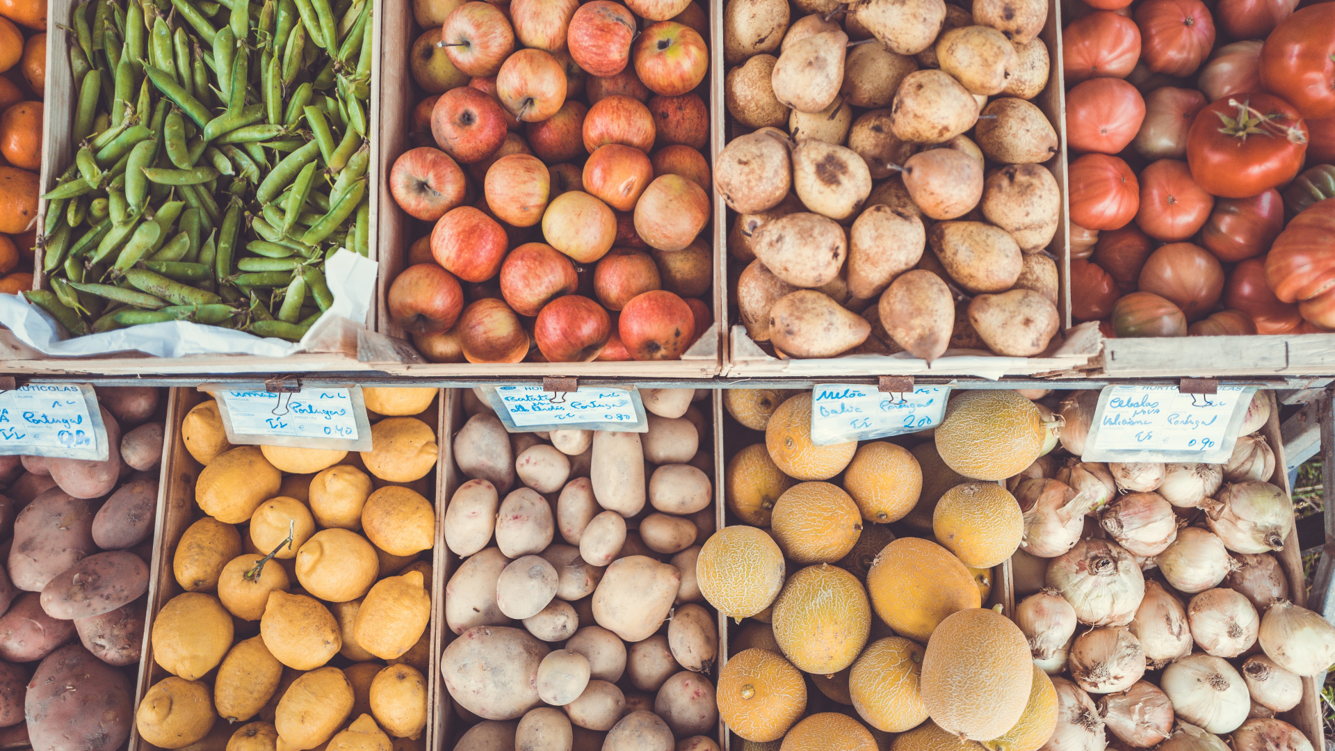 Handel_Themenbild Lebensmittel Obst & Gemüse Markstand