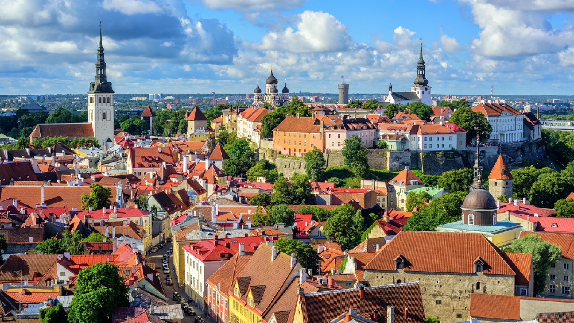 Tallin