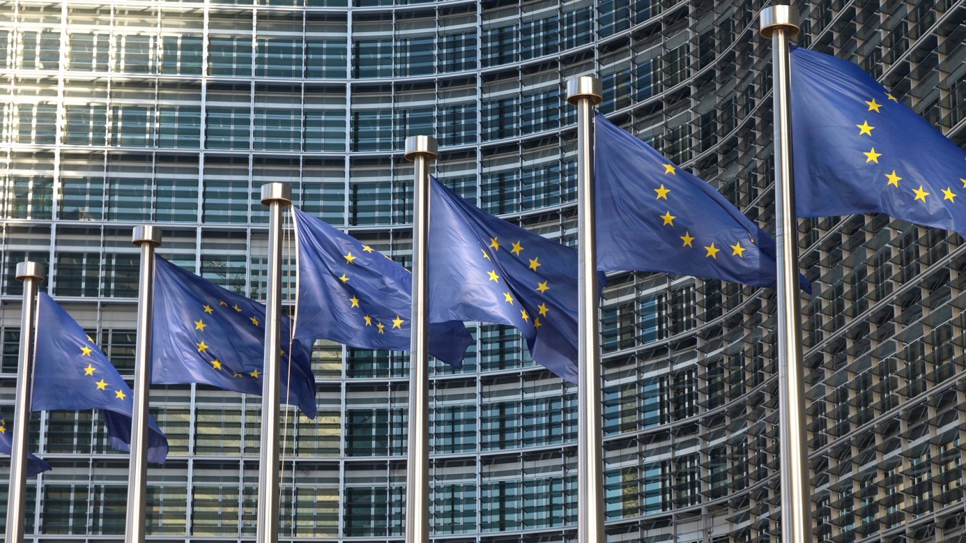 Themenbild Politik Europaflagge