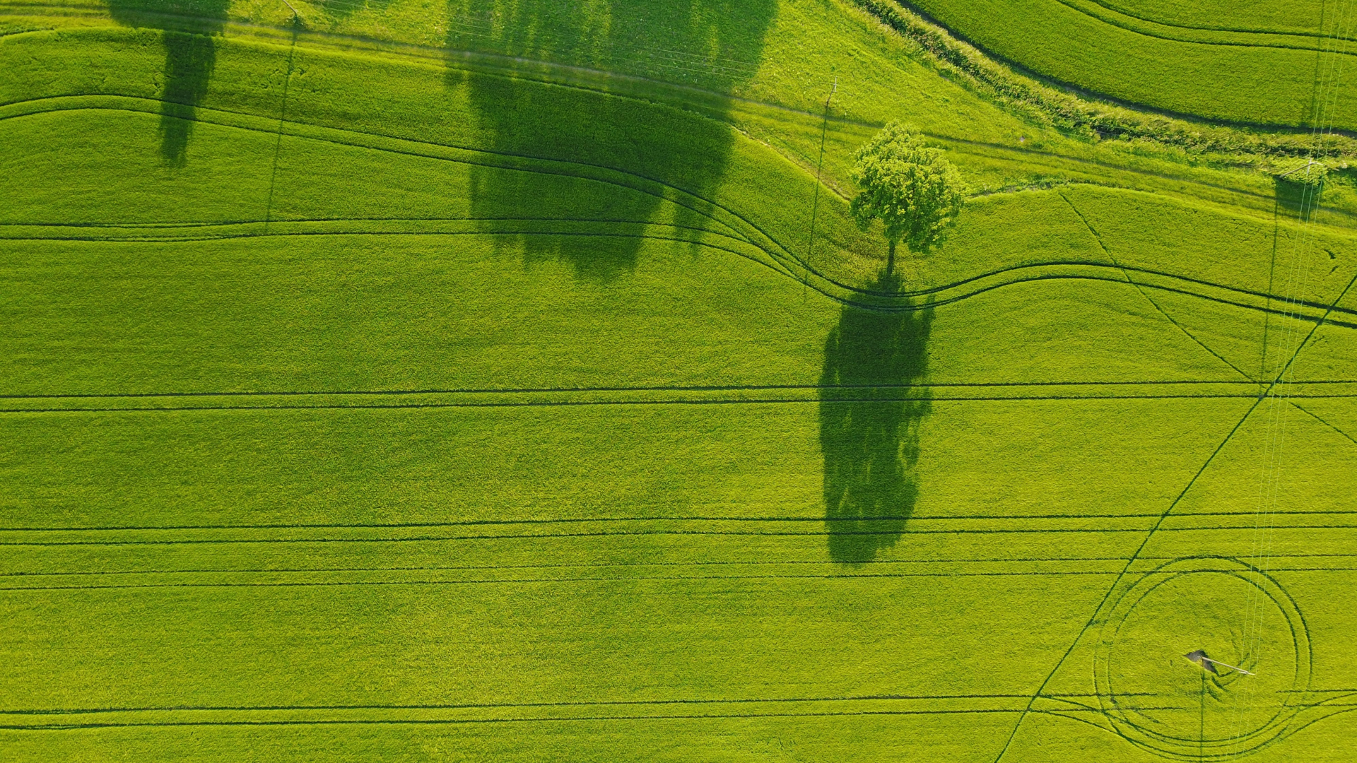 Landwirtschaft Feld Wiese