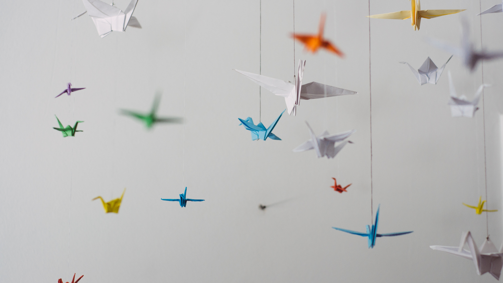 Papiervögel