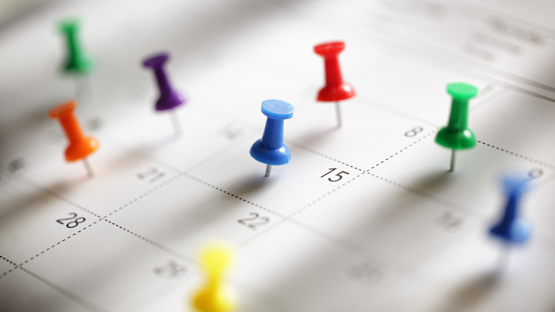 Bunte Stecknadeln in Terminkalender