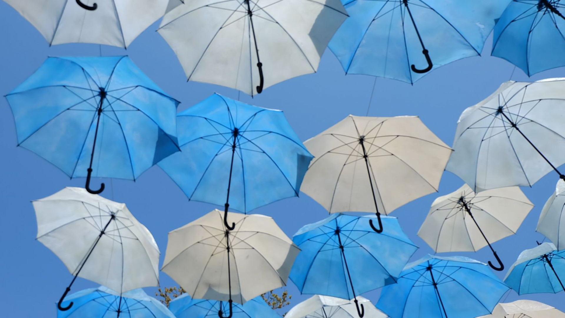 weiße und blaue Regenschirme von unten