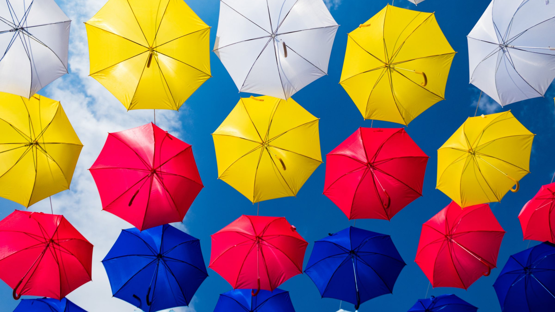 Regenschirme von unten
