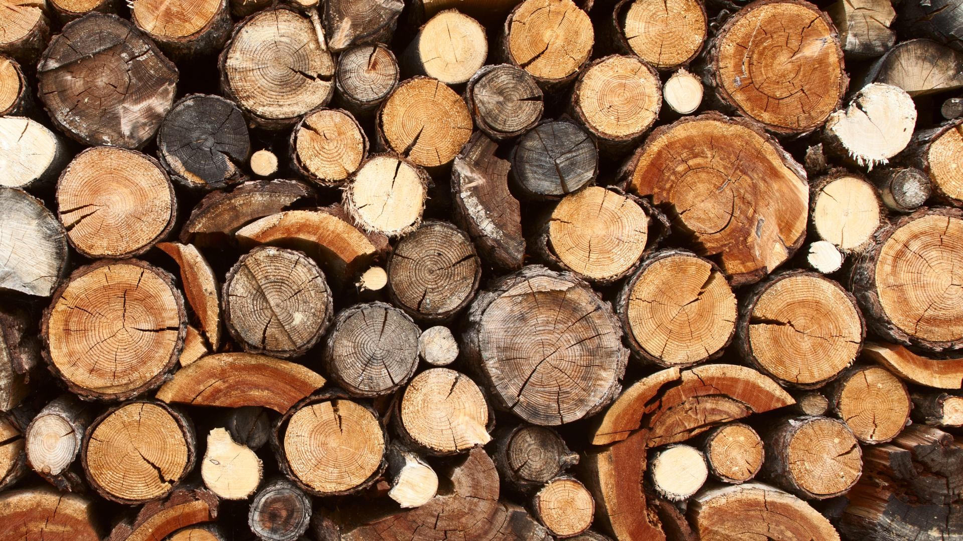 Holzstapel