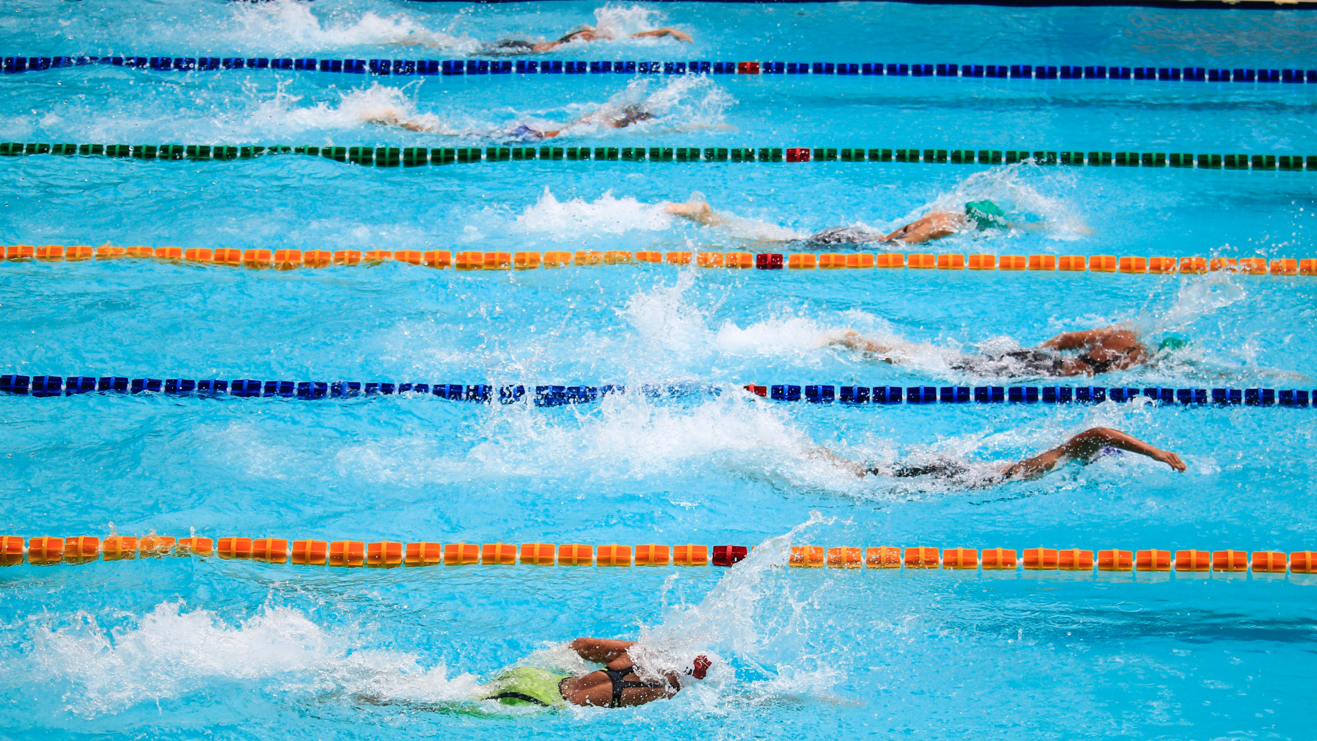 Schwimmwettkampf