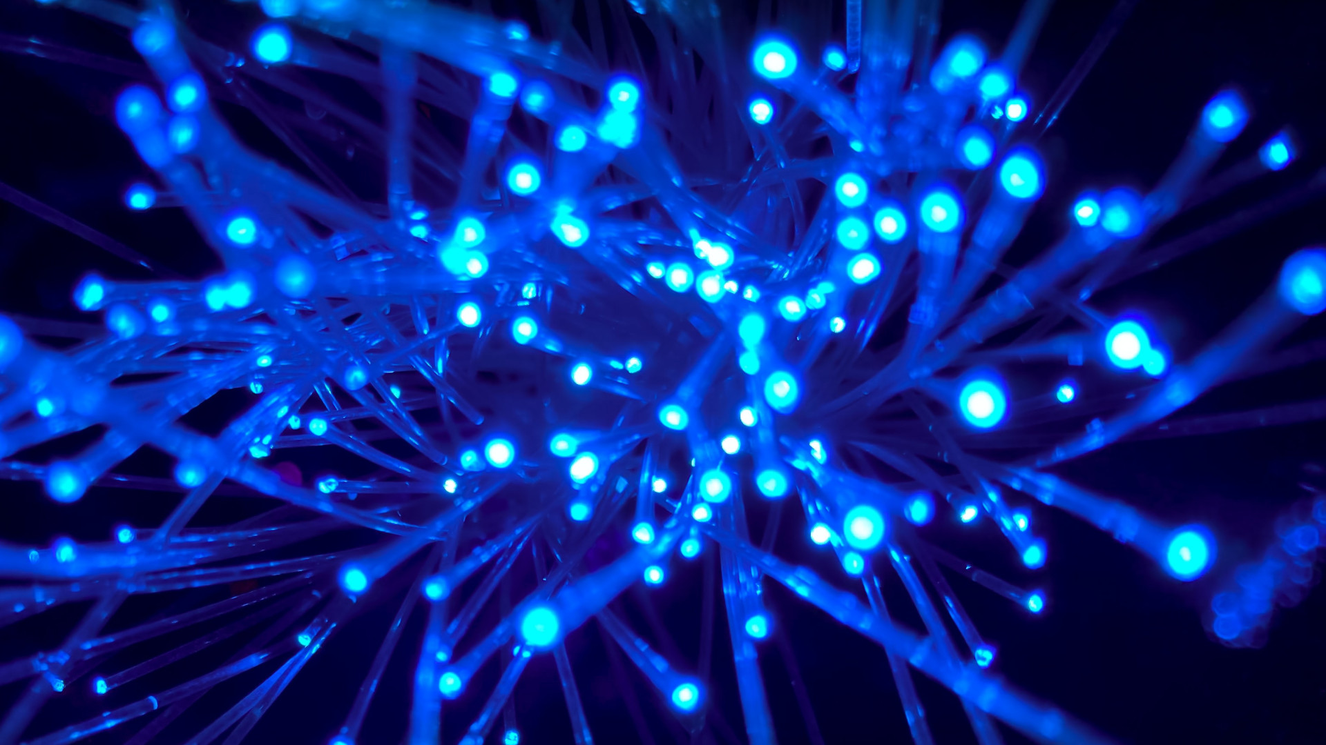Blau Leuchtende Datenstränge
