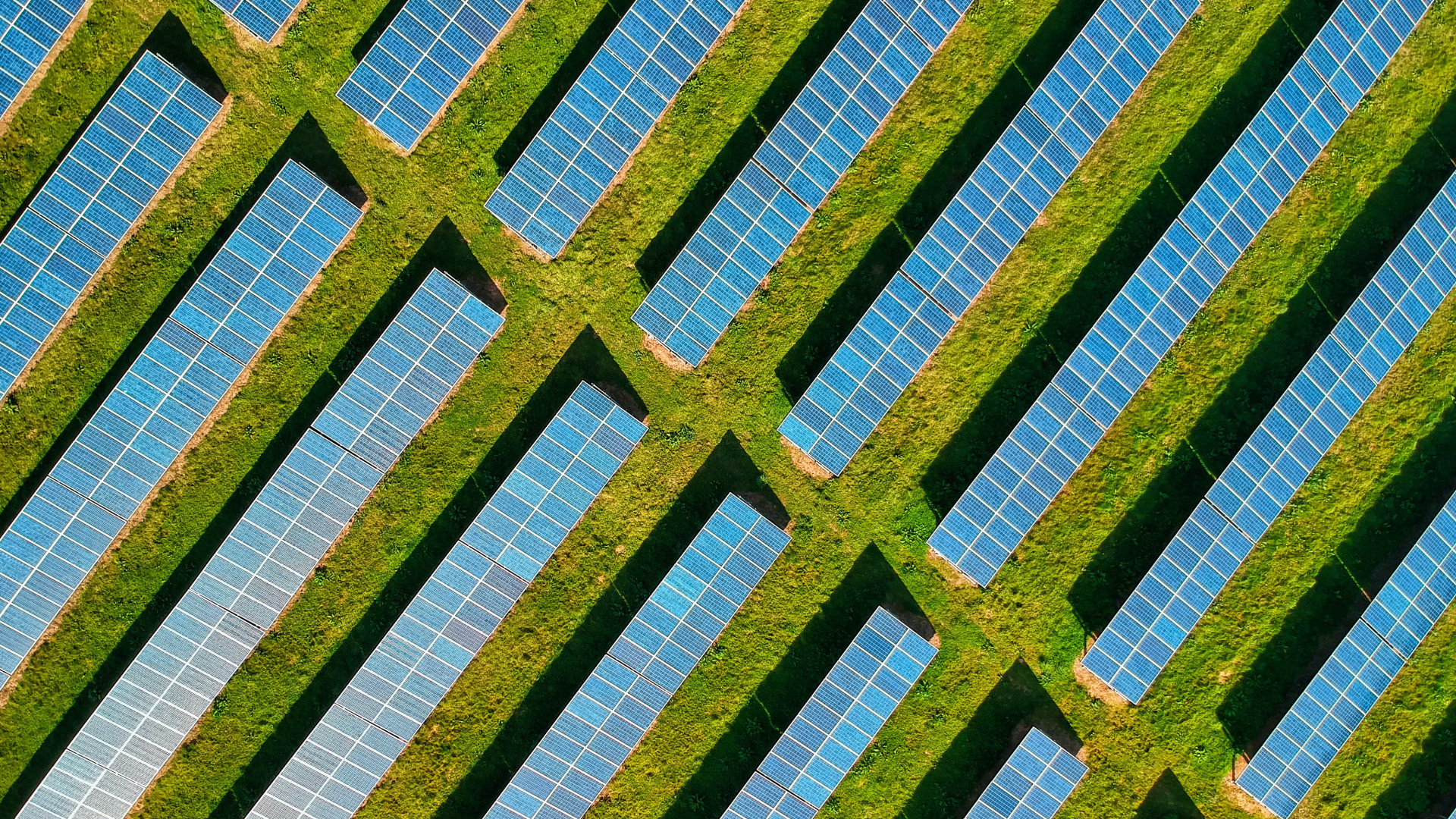 Feld von Solarplatten aus der Vogelperspektive 