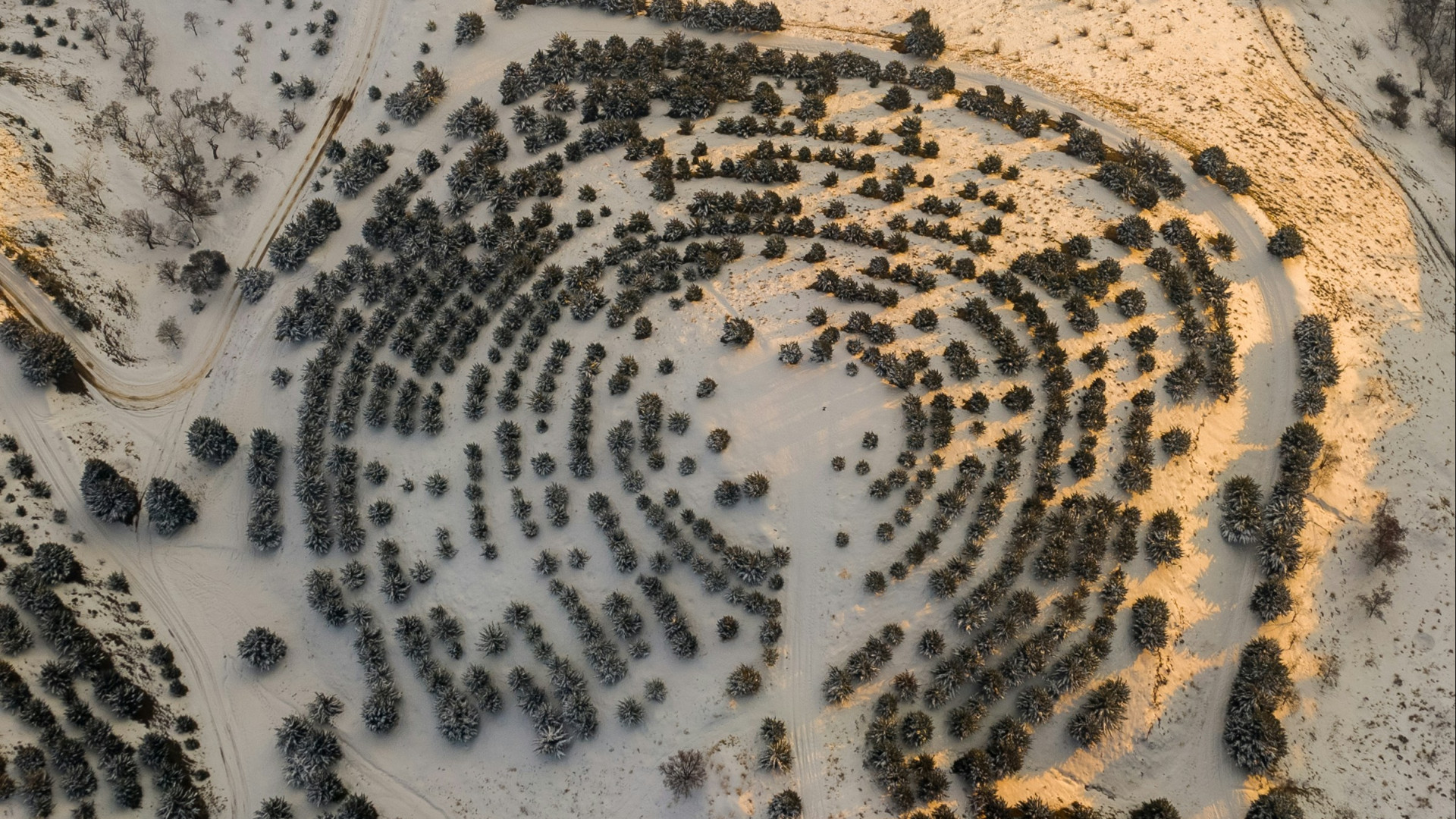 Baumplantage in Form eines Fingerabdrucks