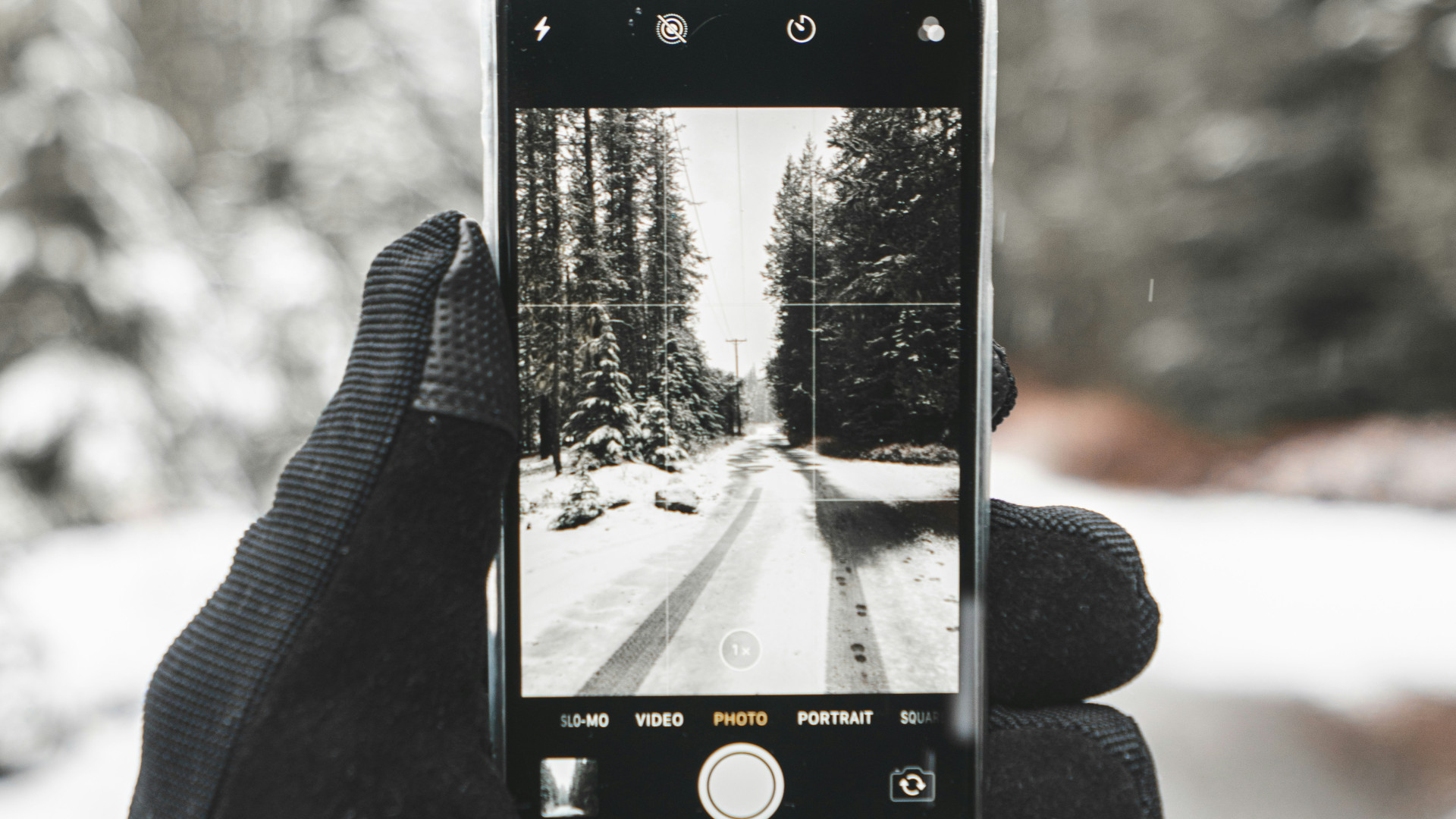 Smartphone mit geöffneter Foto-Anwendung wird in Schneelandschaft in Hand mit Handschuh gehalten