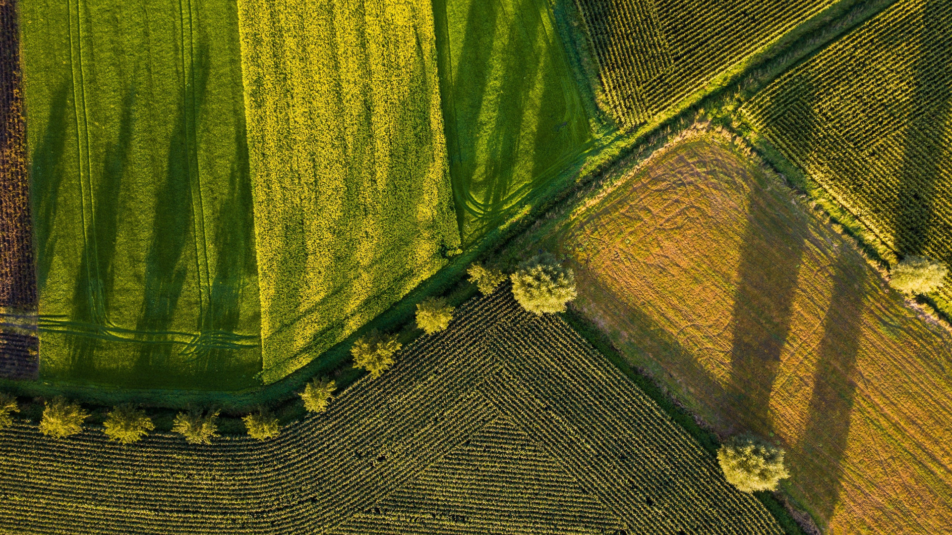 Ein Feld aus der Luftperspektive 