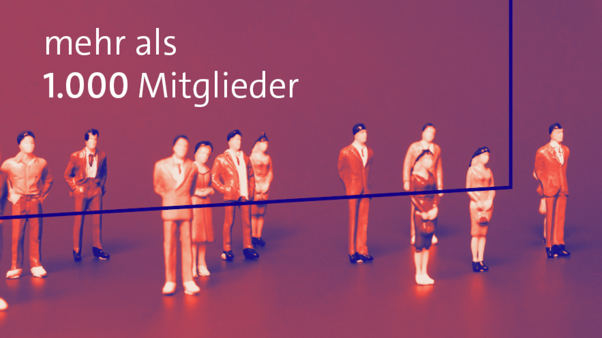 Mitgliederentwicklung des Bitkom im Jahr 2010