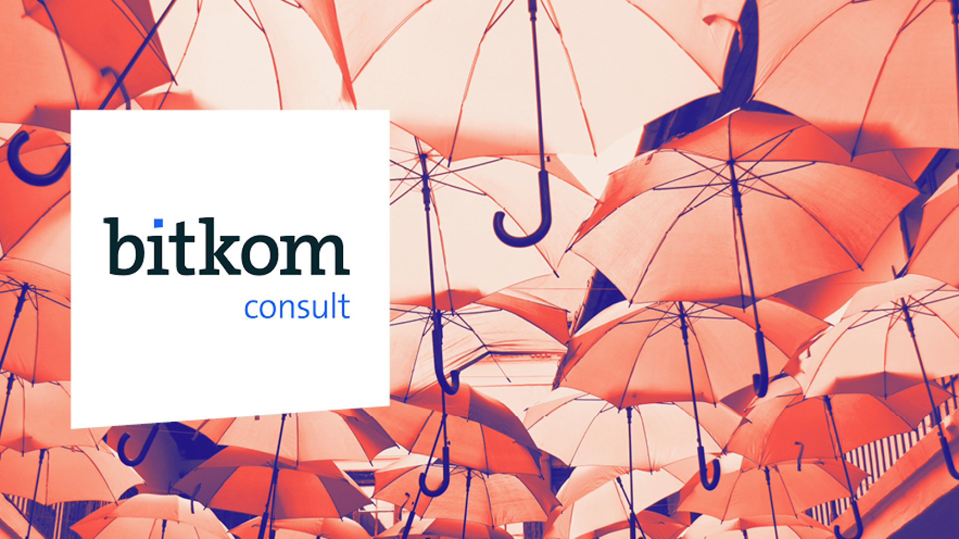  Bitkom Story: Bitkom Consult