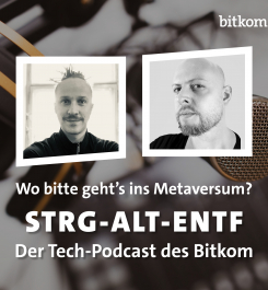 Thumbnail des Podcast Strg-Alt-Entf, Folge Metaverse
