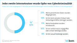 Jeder zweite Internetnutzer von Cyberkriminalität betroffen