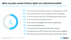 Opfer Cyberkriminalität Print