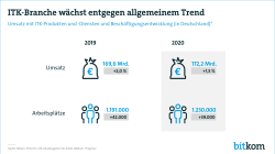 Web Grafik Trend ITK Branche 2019