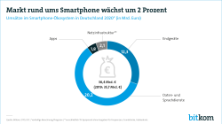 Web-Grafik Umsätze im Smartphone-Ökosystem in Deutschland 2020