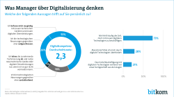 Web Grafik Was Manager über Digitalisierung denken