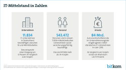 Web-Grafik: "IT-Mittelstand in Zahlen"