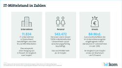 Print-Grafik: "IT-Mittelstand in Zahlen"