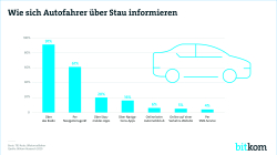 Print-Grafik: "Wie sich Autofahrer über Stau informieren"