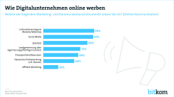 Print-Grafik: "Wie Digitalunternehmen online werben"
