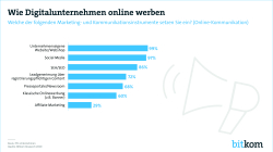 Print-Grafik: "Wie Digitalunternehmen online werben"