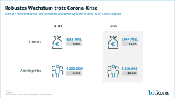 Web-Grafik: "Robustes Wachstum trotz Corona-Krise"