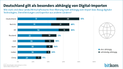 Web-Grafik: "Deutschland gilt als besonders abhängig von Digital-Importen"