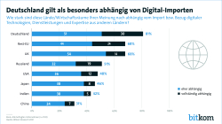 Print-Grafik: "Deutschland gilt als besonders abhängig von Digital-Importen"