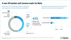 Grafik ECommerce Onlineeinkäufe im Netz