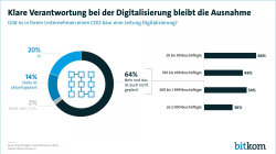 Print-Grafik PI: Klare Verantwortung bei der Digitalisierung bleibt die Ausnahme