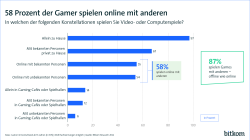 58 Prozent der Gamer spielen online mit anderen
