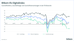 Webgrafik zum Bitkom-ifo-Digitalindex