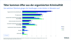 Grafik: Täter kommen öfter aus der organisierten Kriminalität