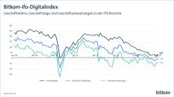 Februar 2025: Bitkom-ifo-Digitalindex Grafik