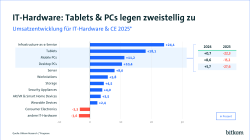Umsatzentwicklung für IT Hardware & CE 2025* Infrastructure-as-a-Service + 24,1, Tablets + 18,1.
