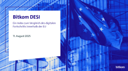 Bitkom DESI