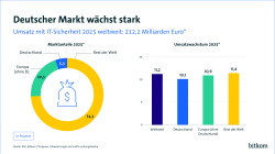 Der Umsatz entfällt zu 20,5% auf Europa, 5,3 % auf Deutschland. 74,3 entfällt auf den Rest der Welt.
