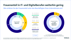 13% geben an, mehr als die Hälfte sei weiblich besetzt, 25% meinen ungefähr gleiche Anteile, 58% meinen, es gibt deutlich weniger weibliche Beschäftigte.  Auf die gesamte IT- und Digitalbranche schätzen 89 %, dass deutlich weniger Frauen als Männer beschäftigt werden.