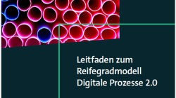 Teaser Reifegrad 2.0