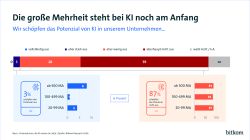 0% schöpfen das Potenzial vollständig aus. 3 % eher stark, 59% überhaupt nicht aus. 