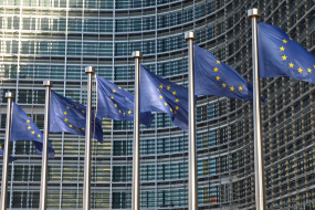 Themenbild EU mit Flaggen