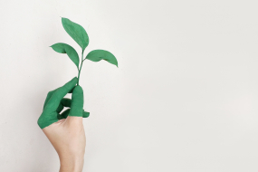 Hand mit grünem Blatt in der Hand