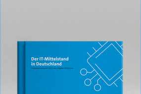 Mochkup Buch Der IT-Mittelstand in Deutschland in Cyan Farbe